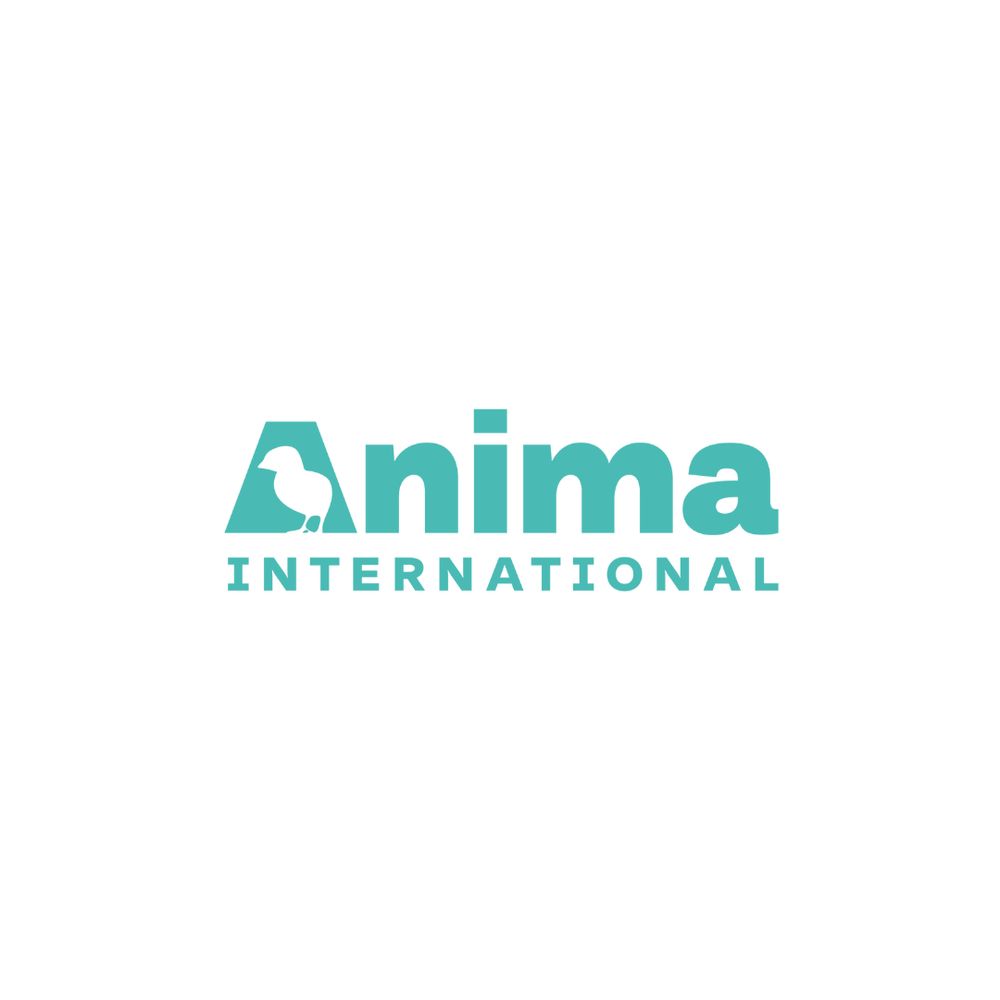 Anima International