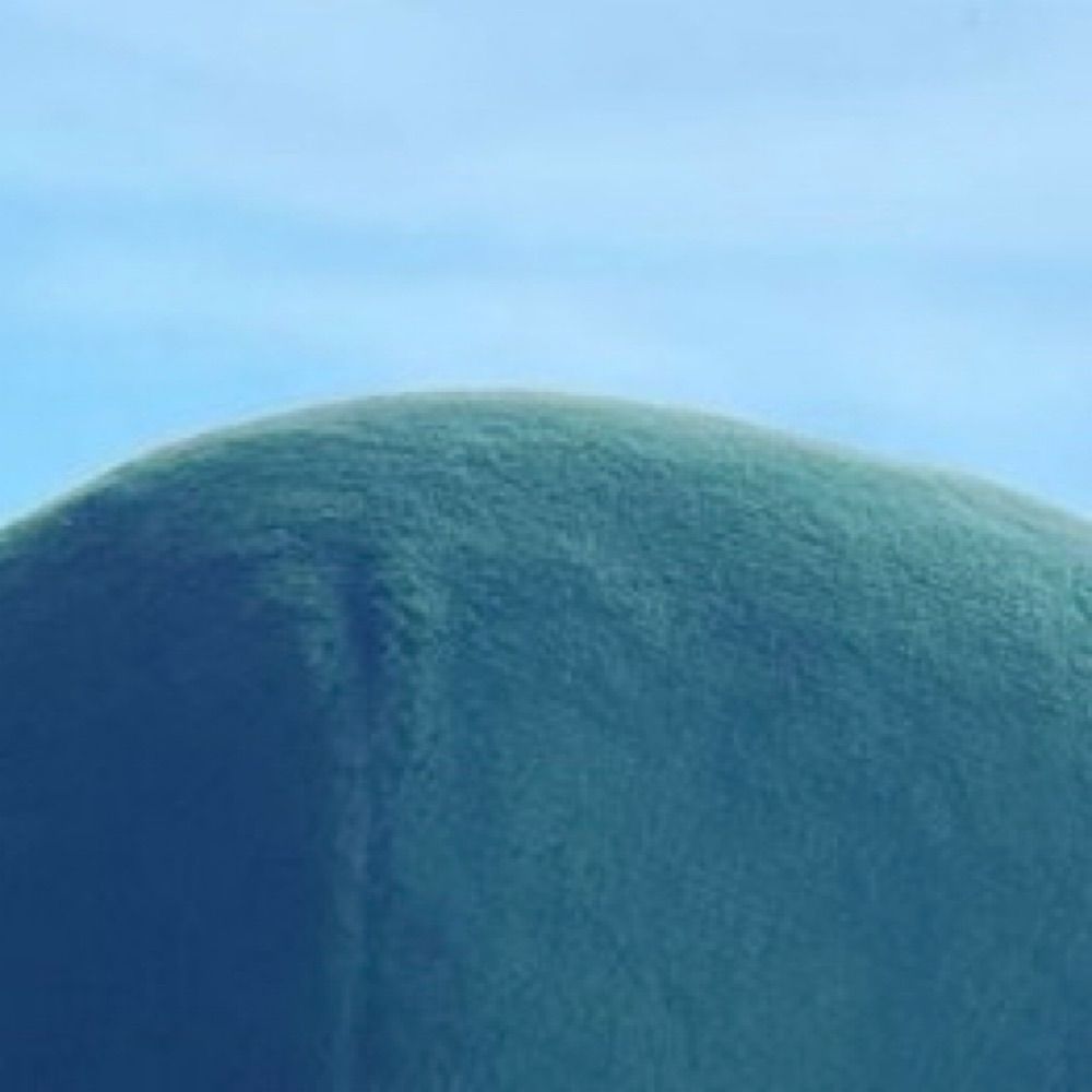 🏝️
