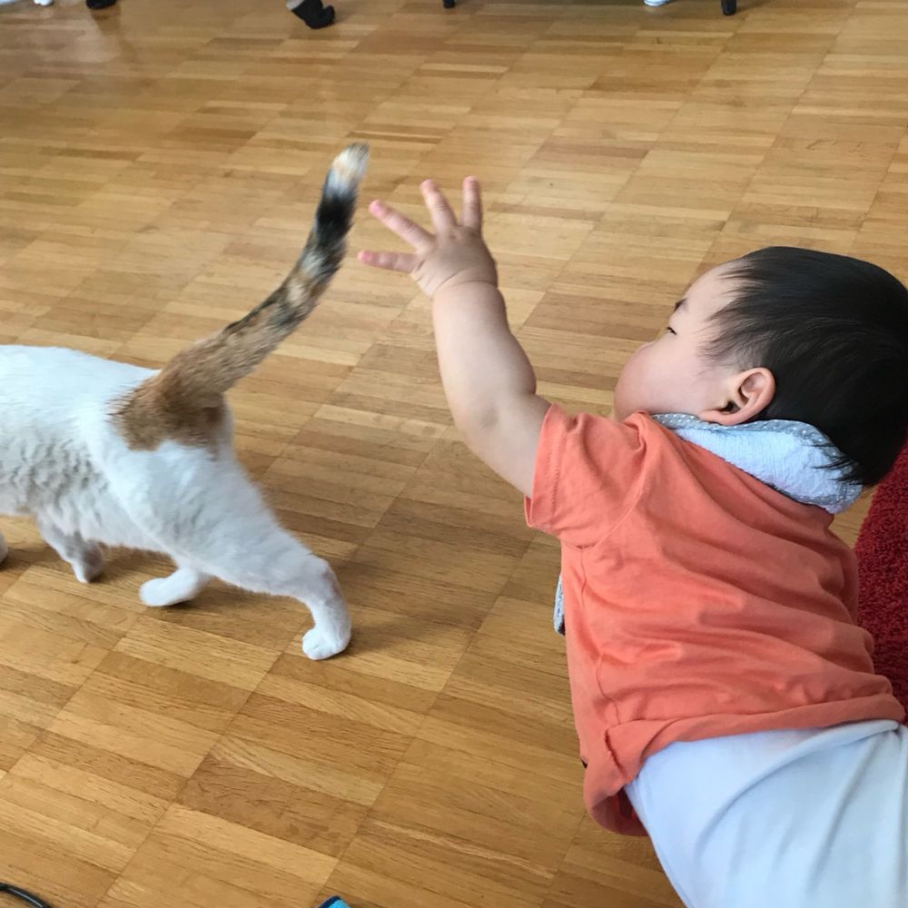 のなめ