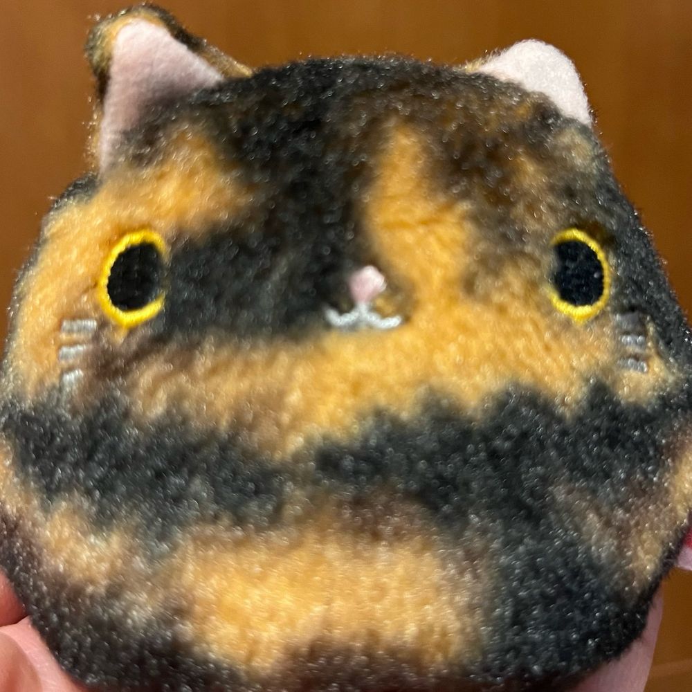 みー
