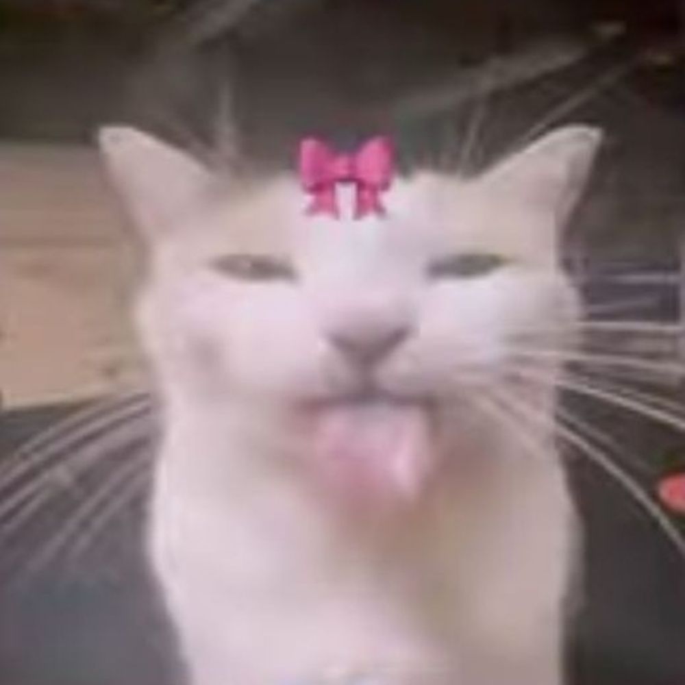 strawkittt