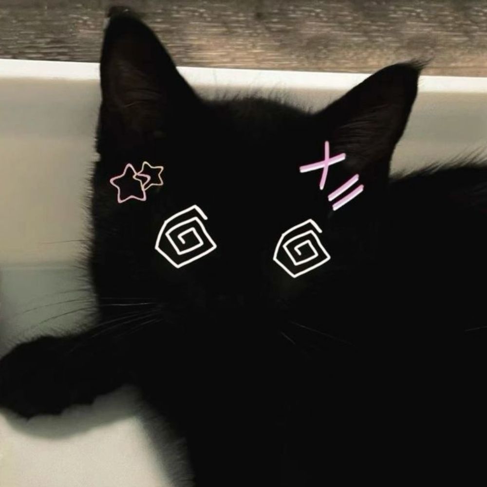 ｡⁠.ﾟ+𝙑𝙚𝙚/𝙆𝙮𝙡𝙚 /⁠ᐠ⁠｡⁠ꞈ⁠｡⁠ᐟ⁠\ (#1 Frank Iero fan!!)