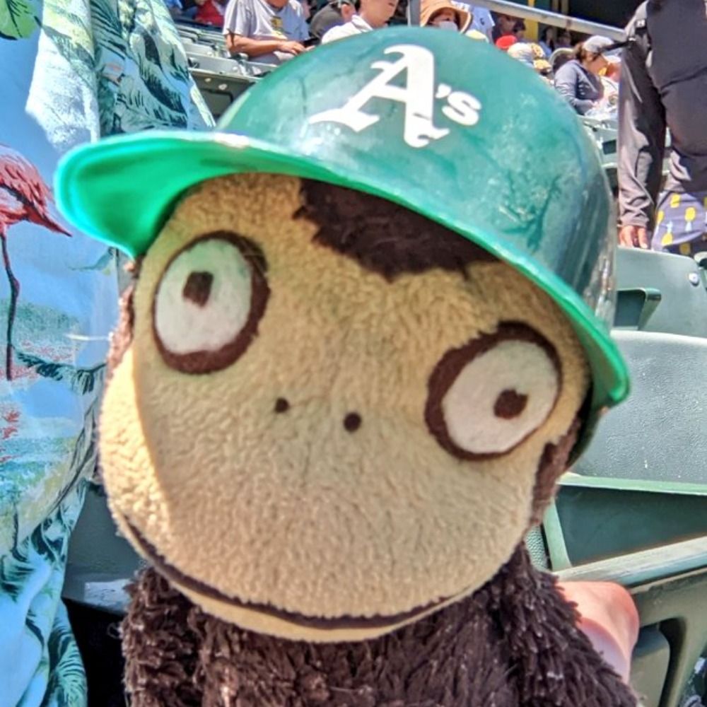 Theo Monkey