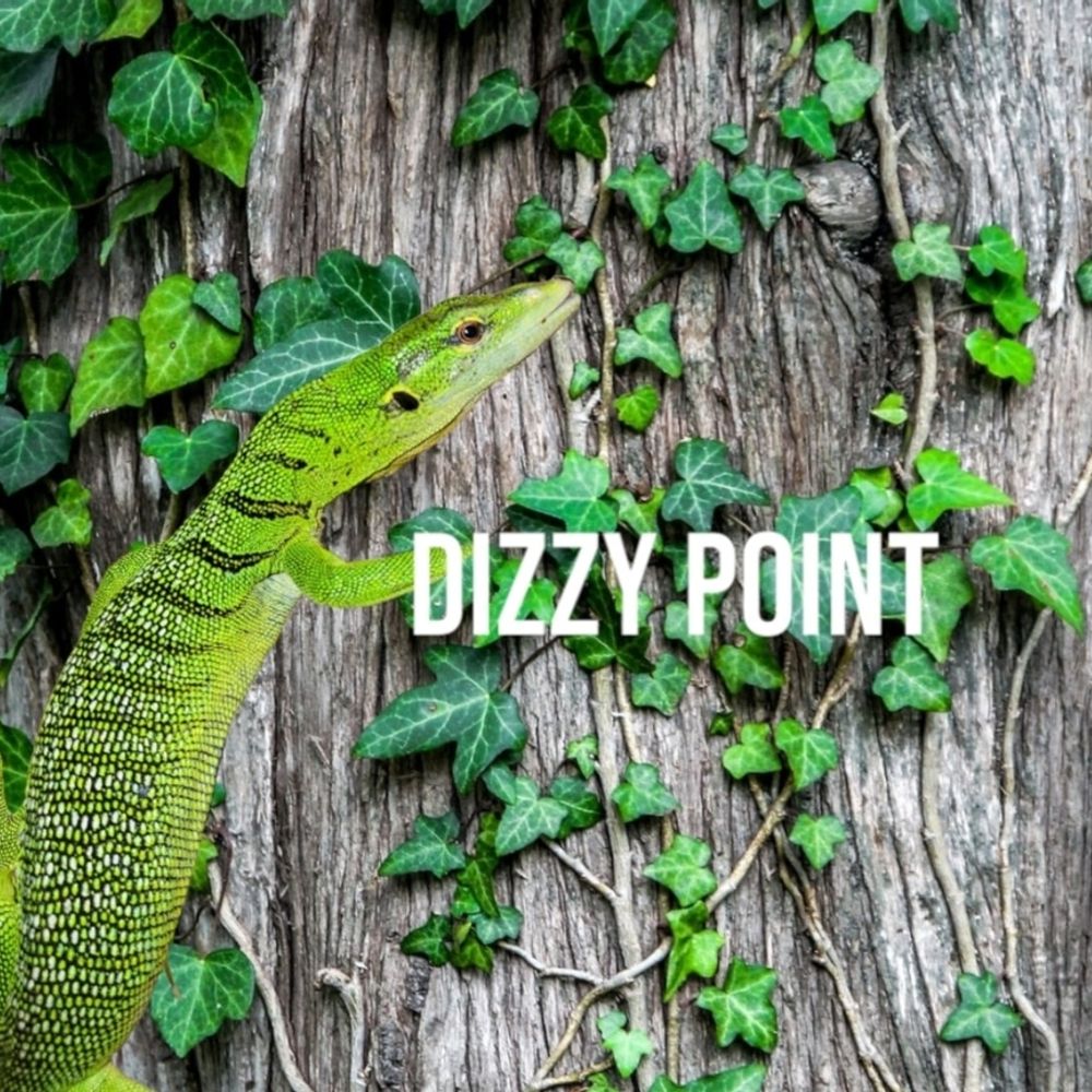爬虫類専門店DIZZYPOINT