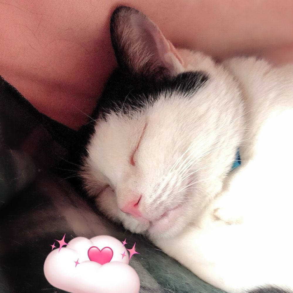 ぴー😽