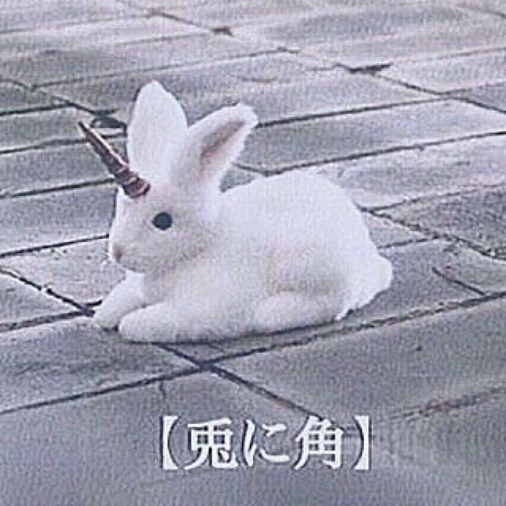 ｶﾜﾐ