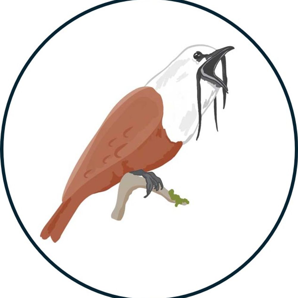 Neotropical Birding and Conservation