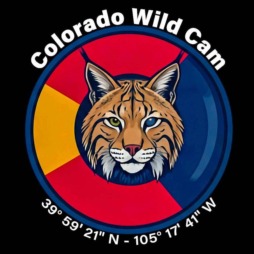 ColoradoWildCam