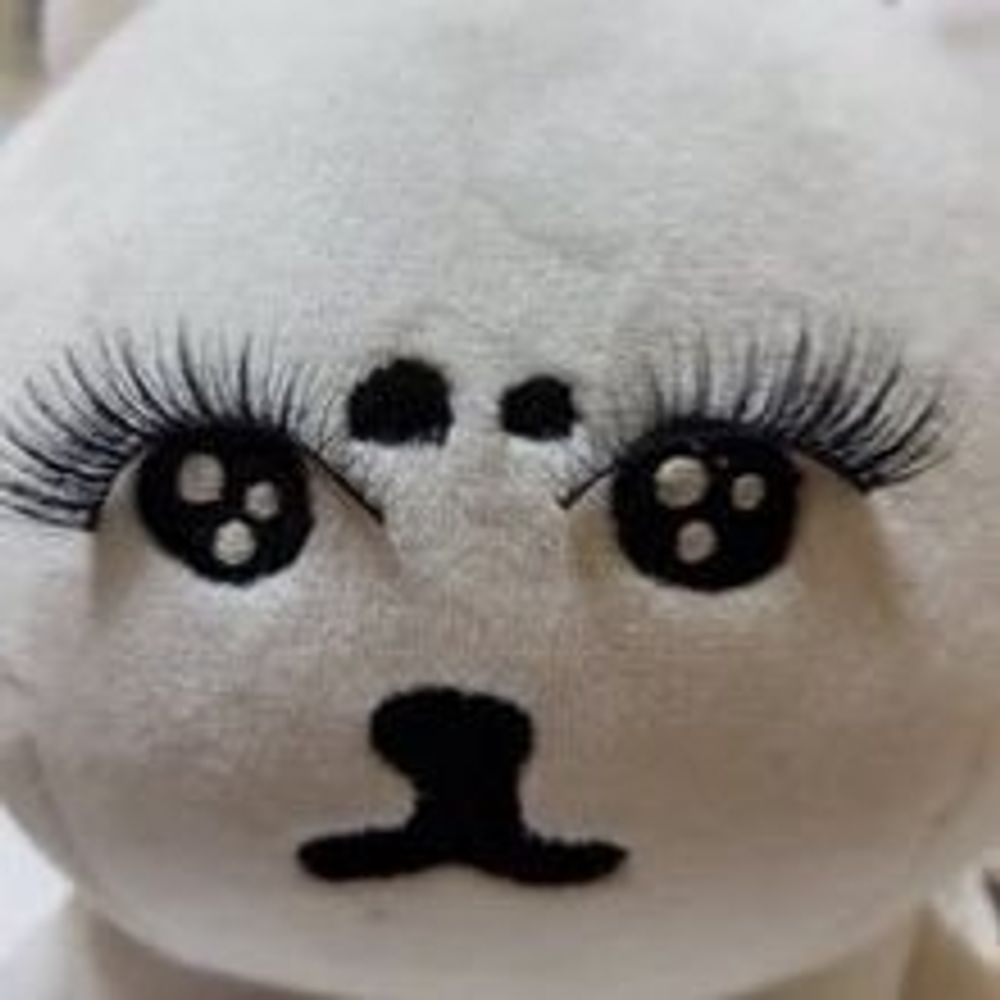 고추장곰팡이
