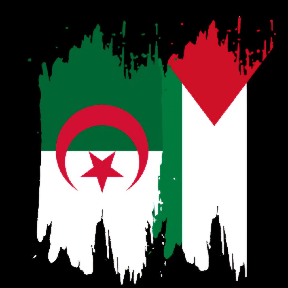 🇩🇿Leshaf.H🇧🇪