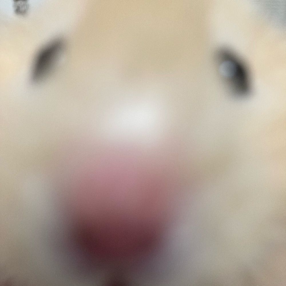 泪