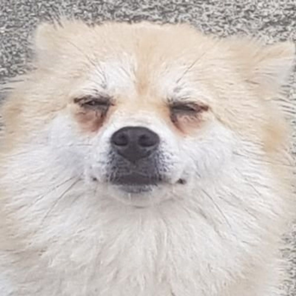 𝙂𝙊𝑨𝙇