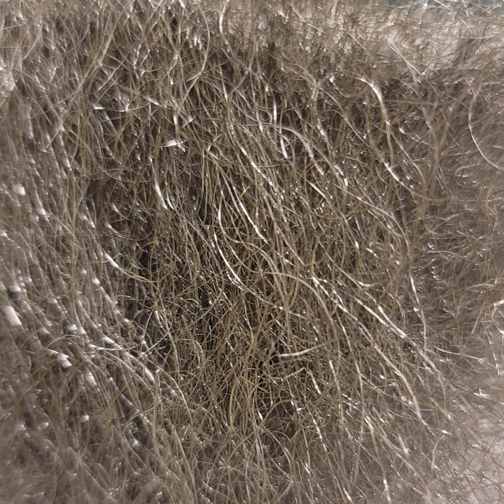 BaldBishopsIronCollar