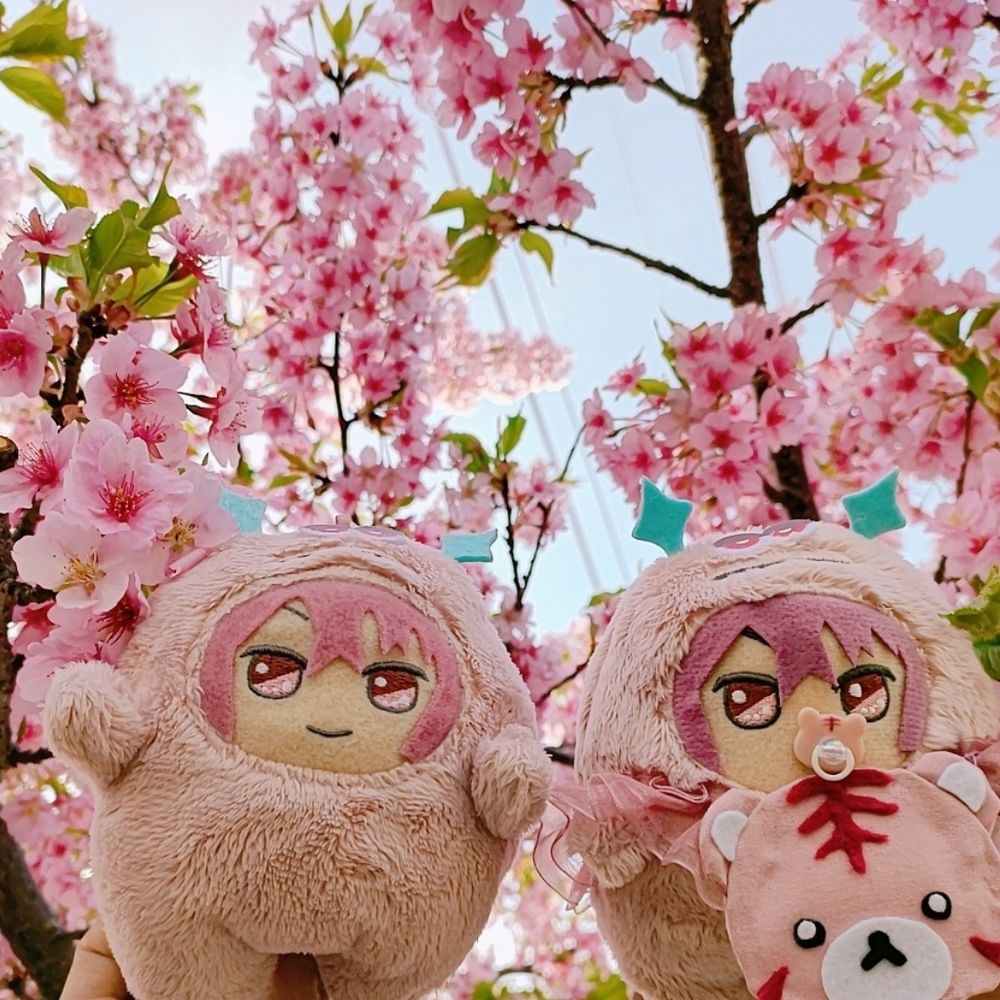 かいぬし