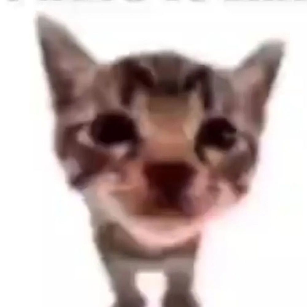 Dingus