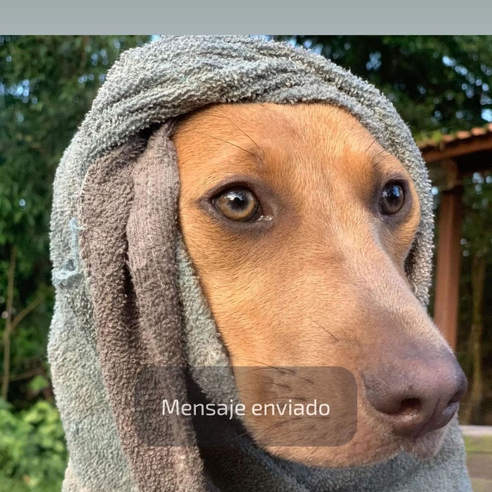 Avanti Morocha