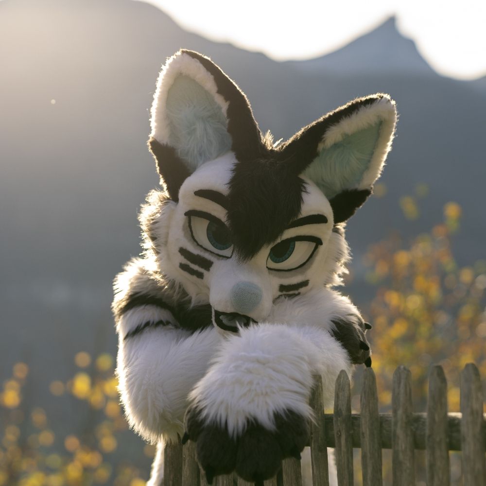 ʀᴇɴᴛᴏ 🐺