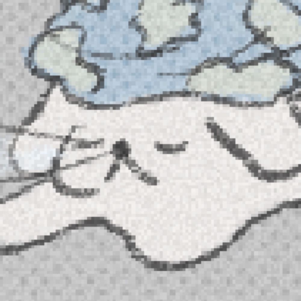 わこ