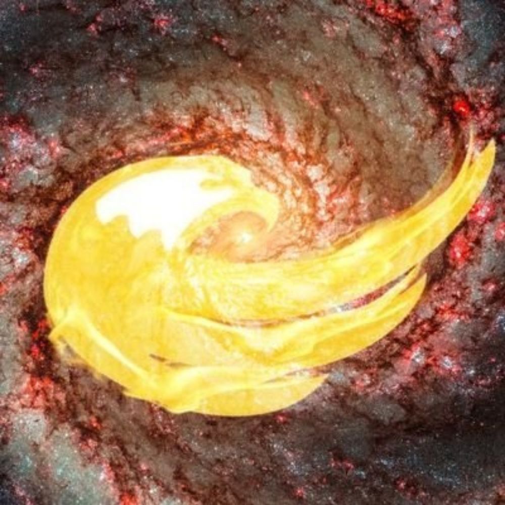 Libertarian Party of Outer Space