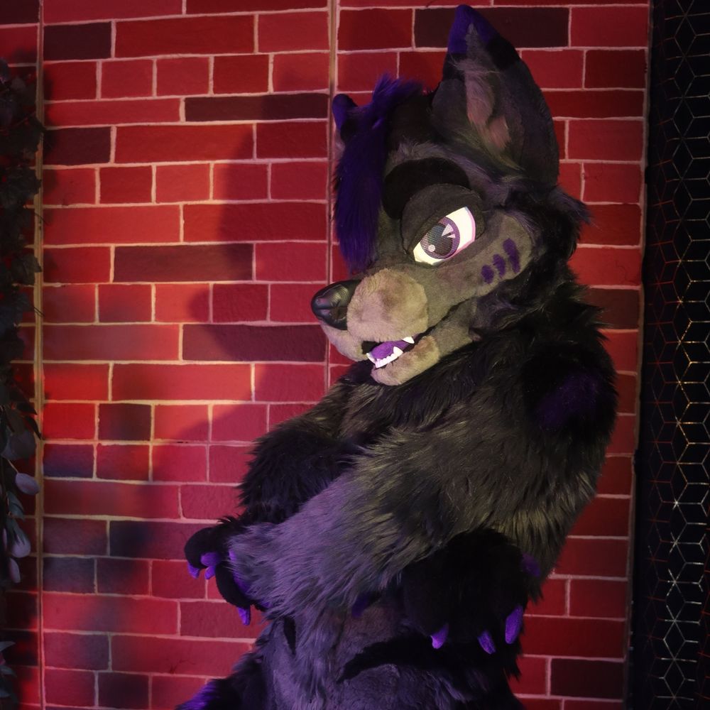 TheBlackWolfsAD 🔞🏳️‍🌈