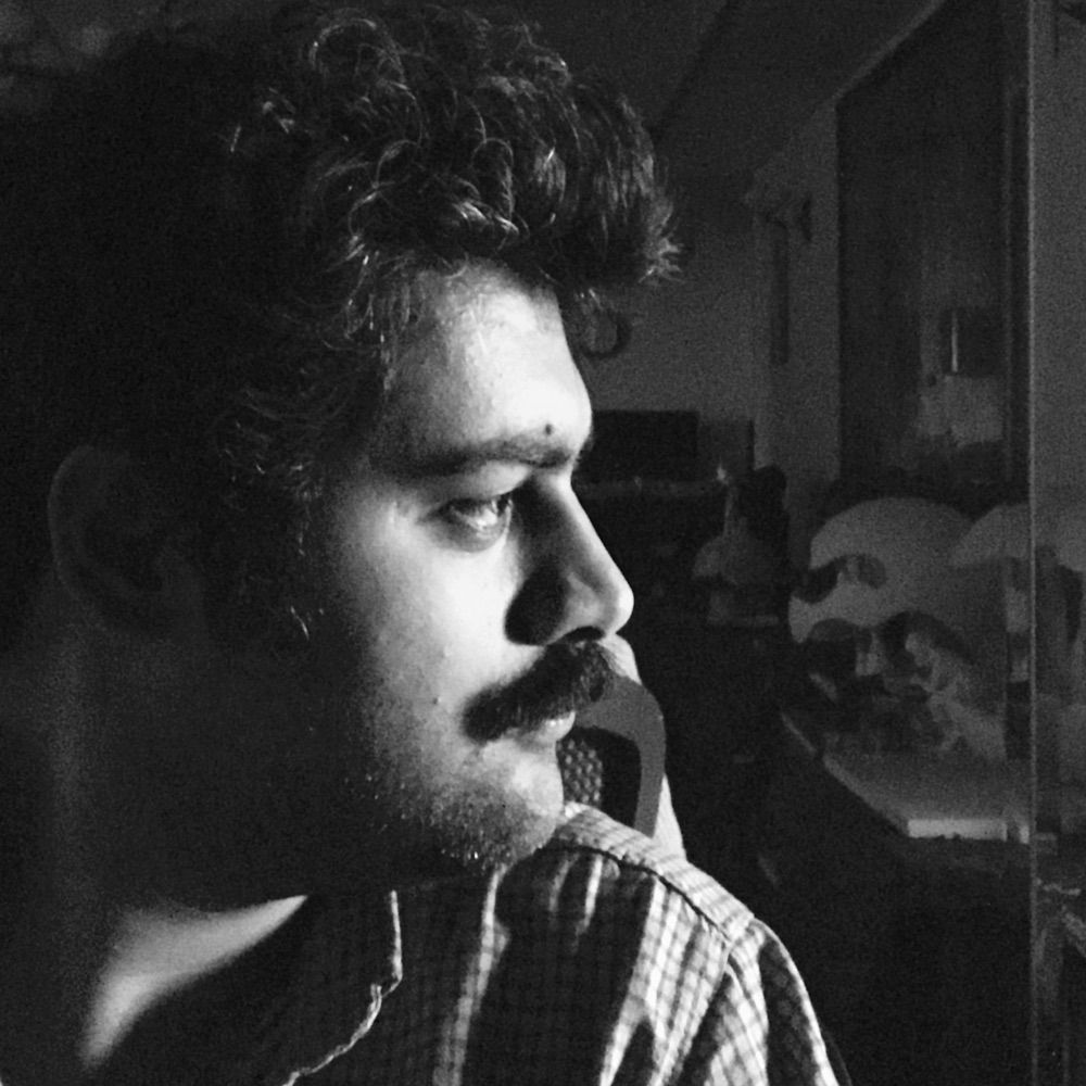 M. Hadi Fazeli