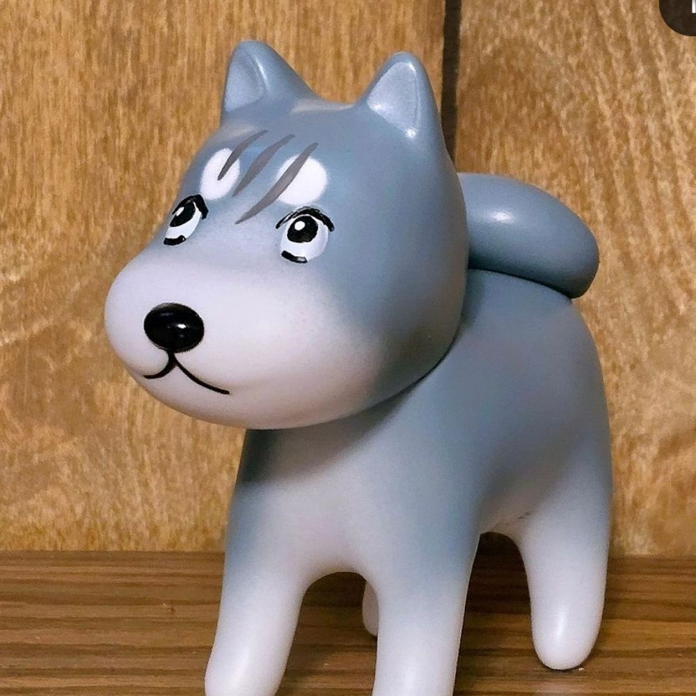 Kai D.