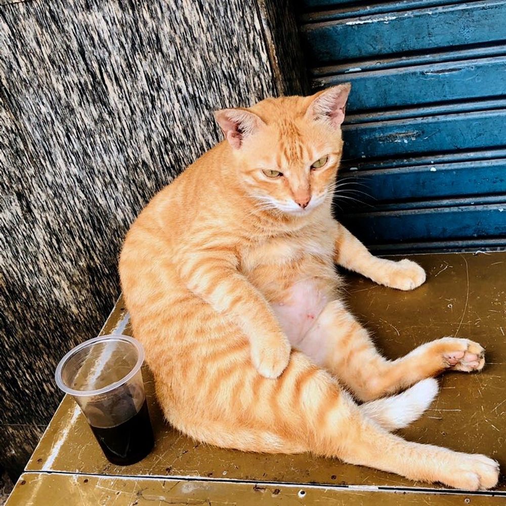 tukang foto