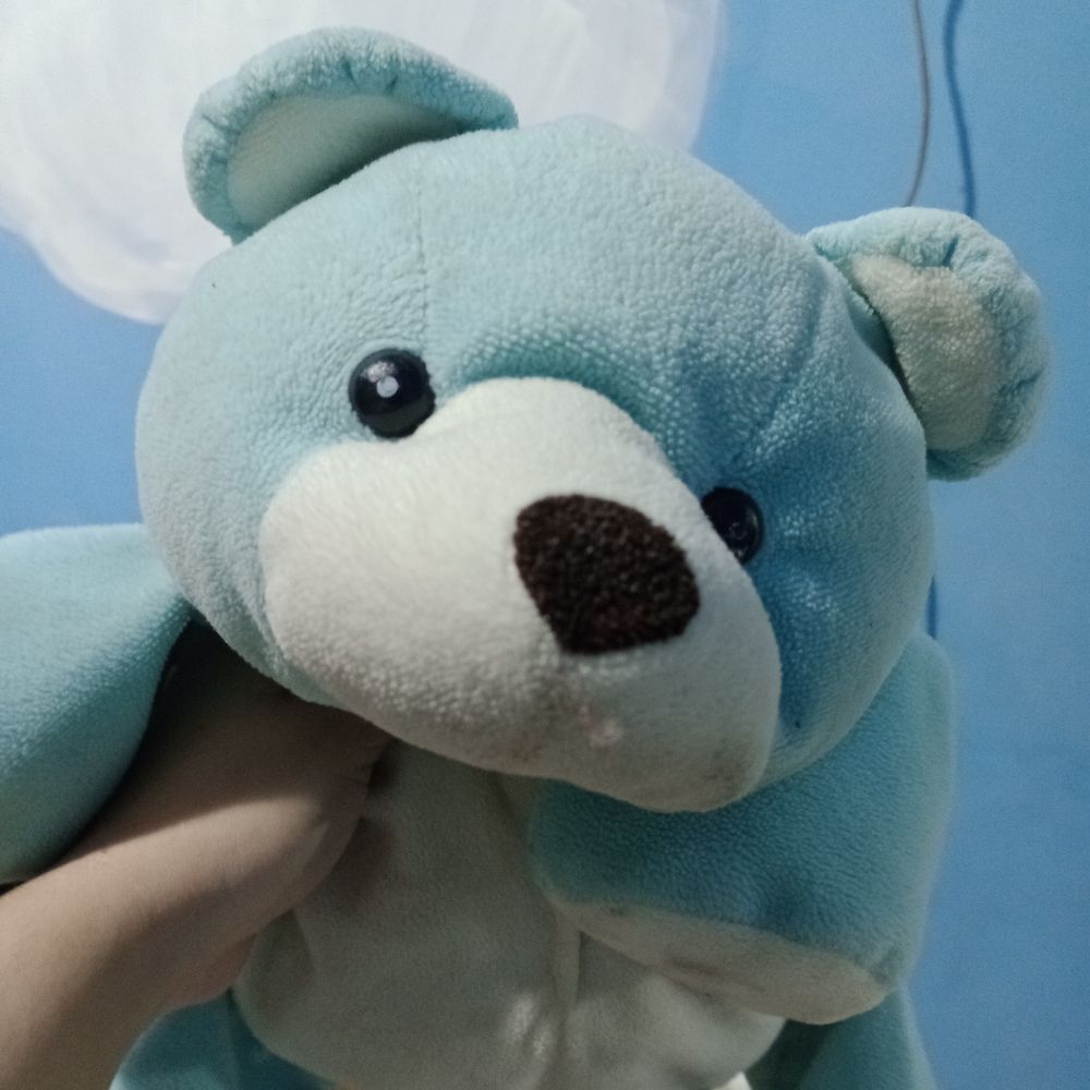 BlueBear
