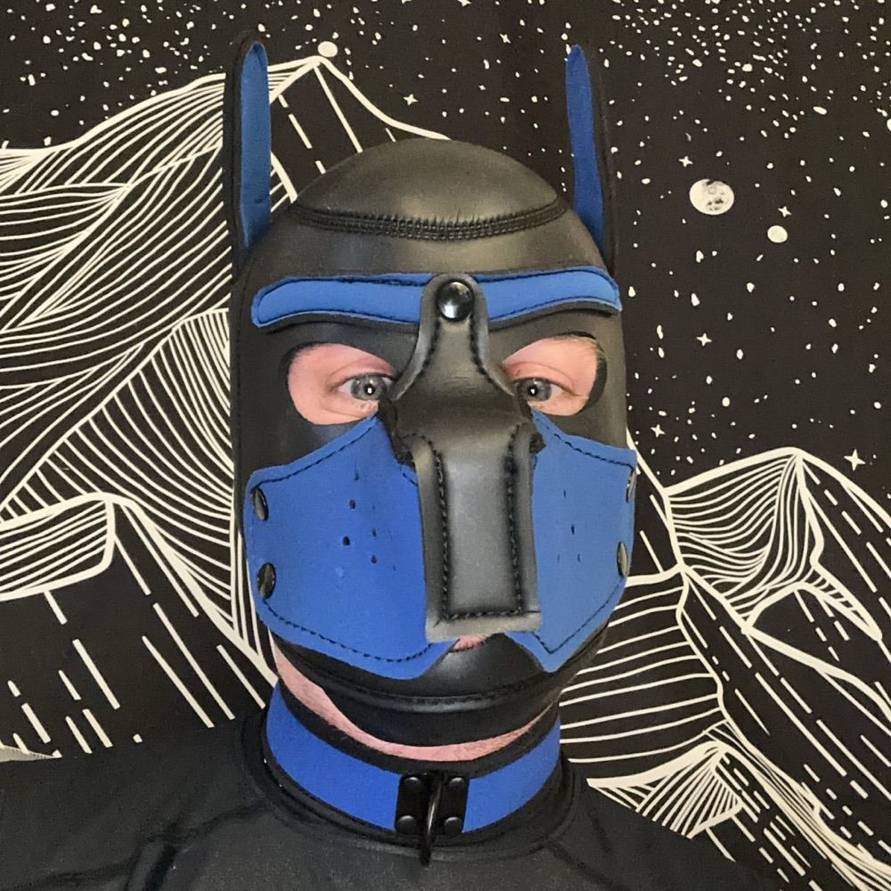 Pup Astro