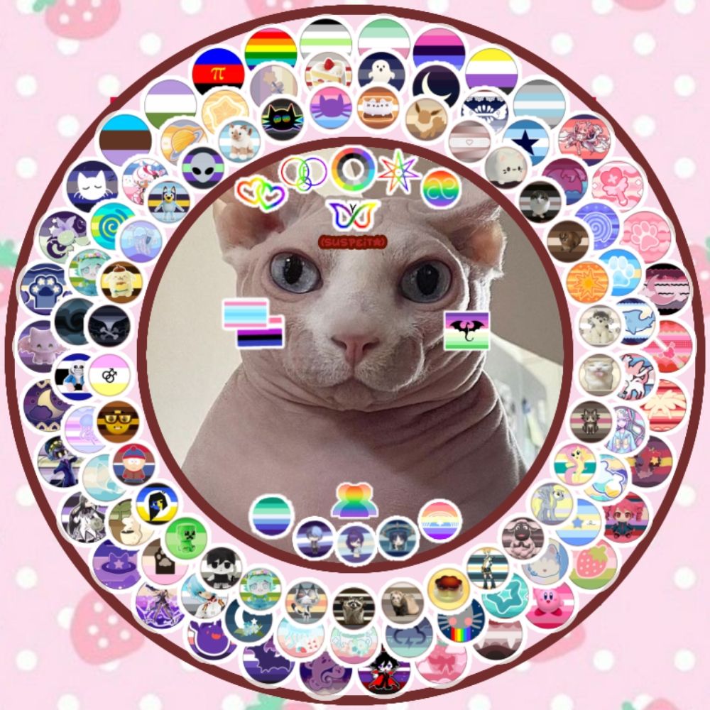 ⊹ ࣪ ˖ PorcelainCatSys 🍥 .ᐟ