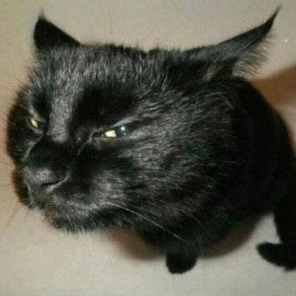wuzi