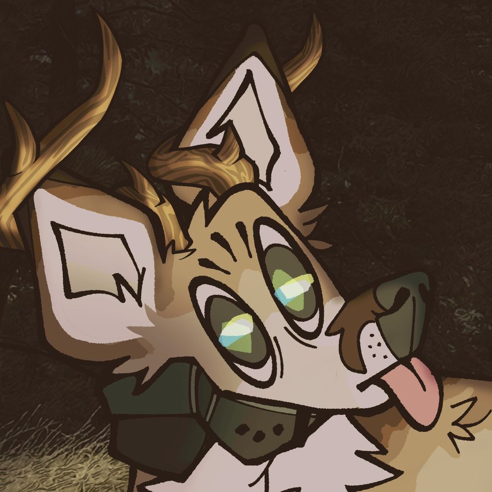 12pt