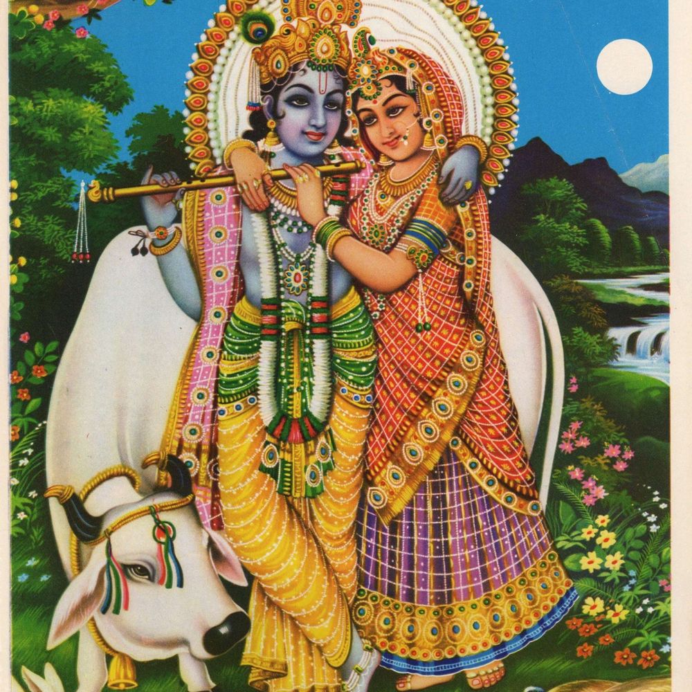 daily bhagavad gita