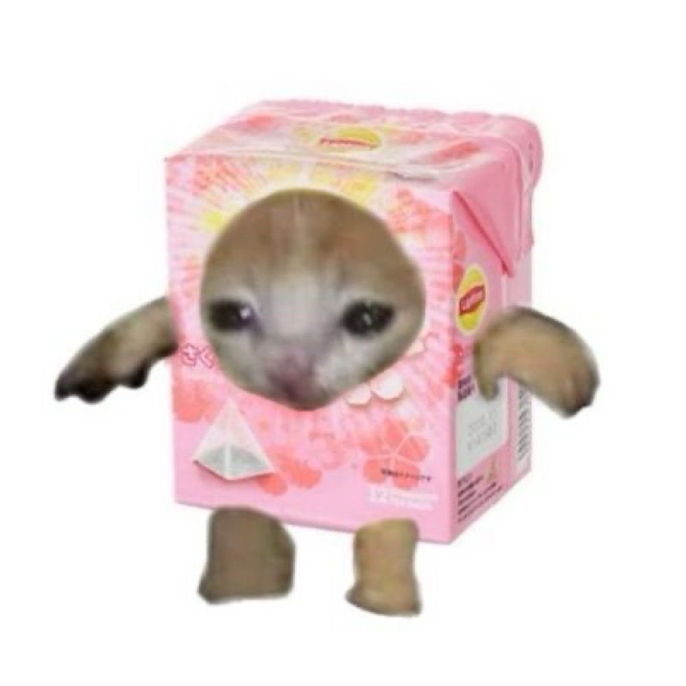 금천
