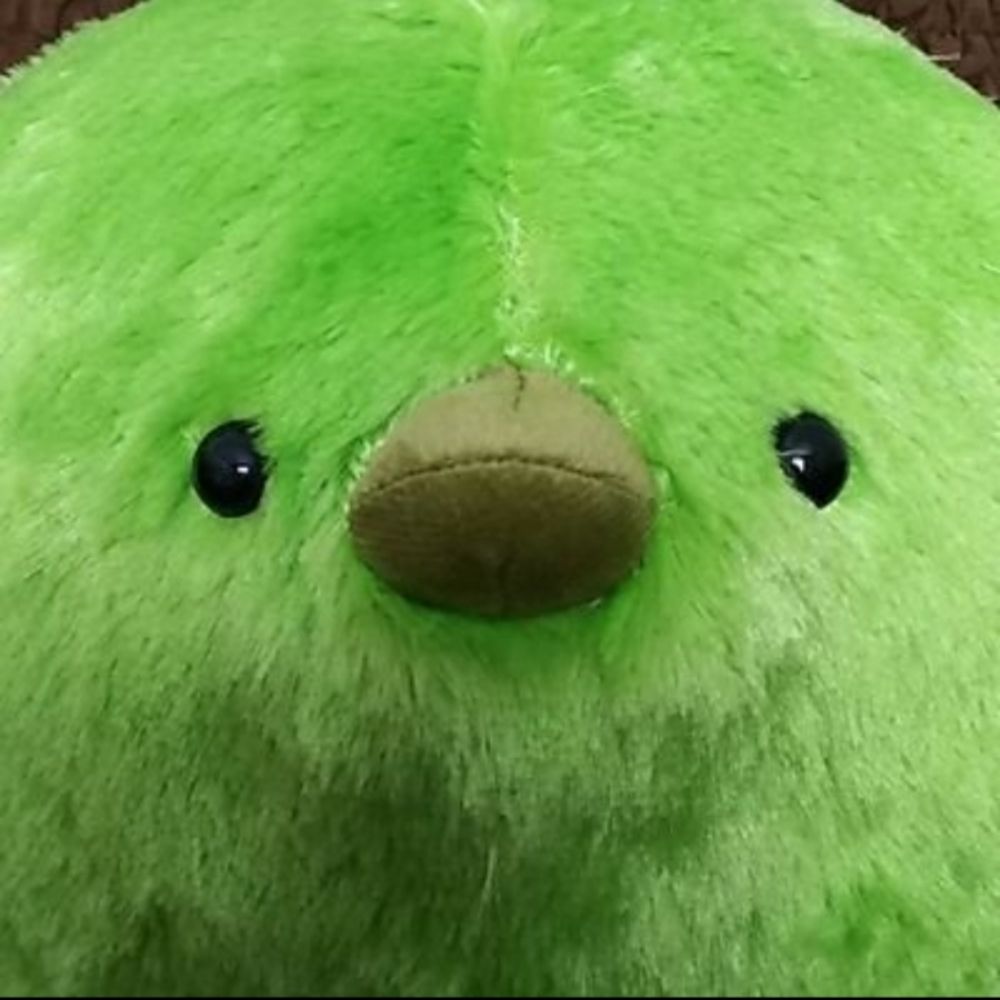 どんさん