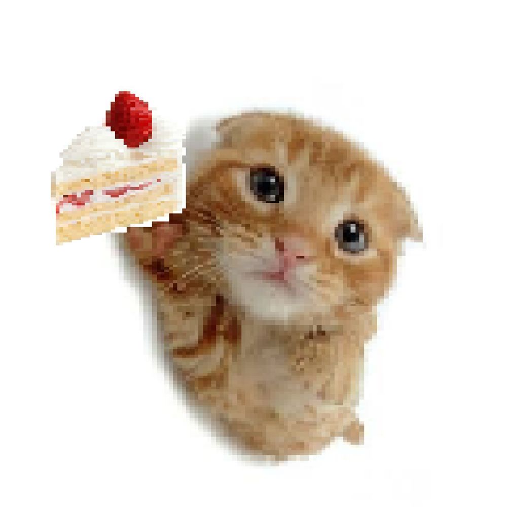 omnomnom :3🍒🎀