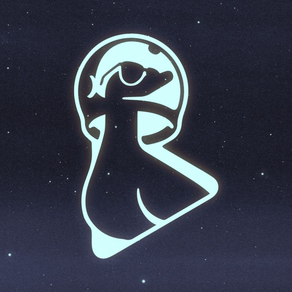 Space Duck Video