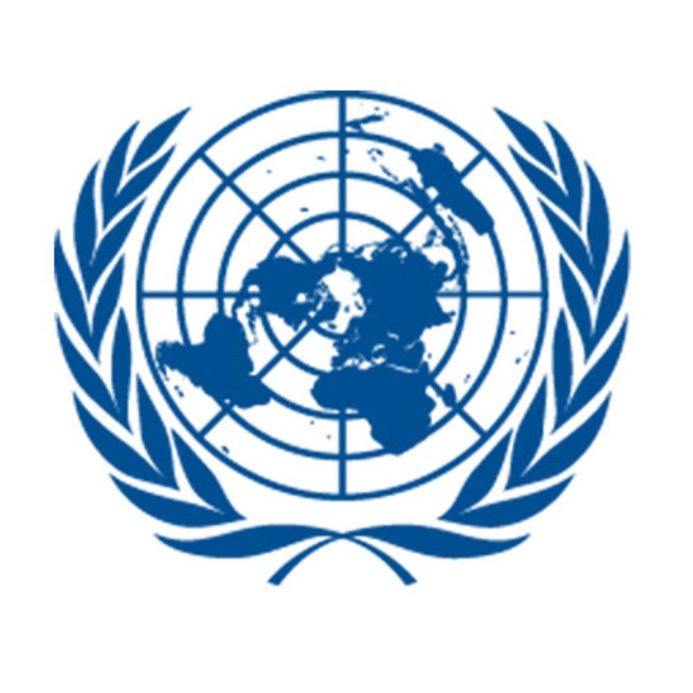 United Nations Office for Disaster Risk Reduction (UNDRR)