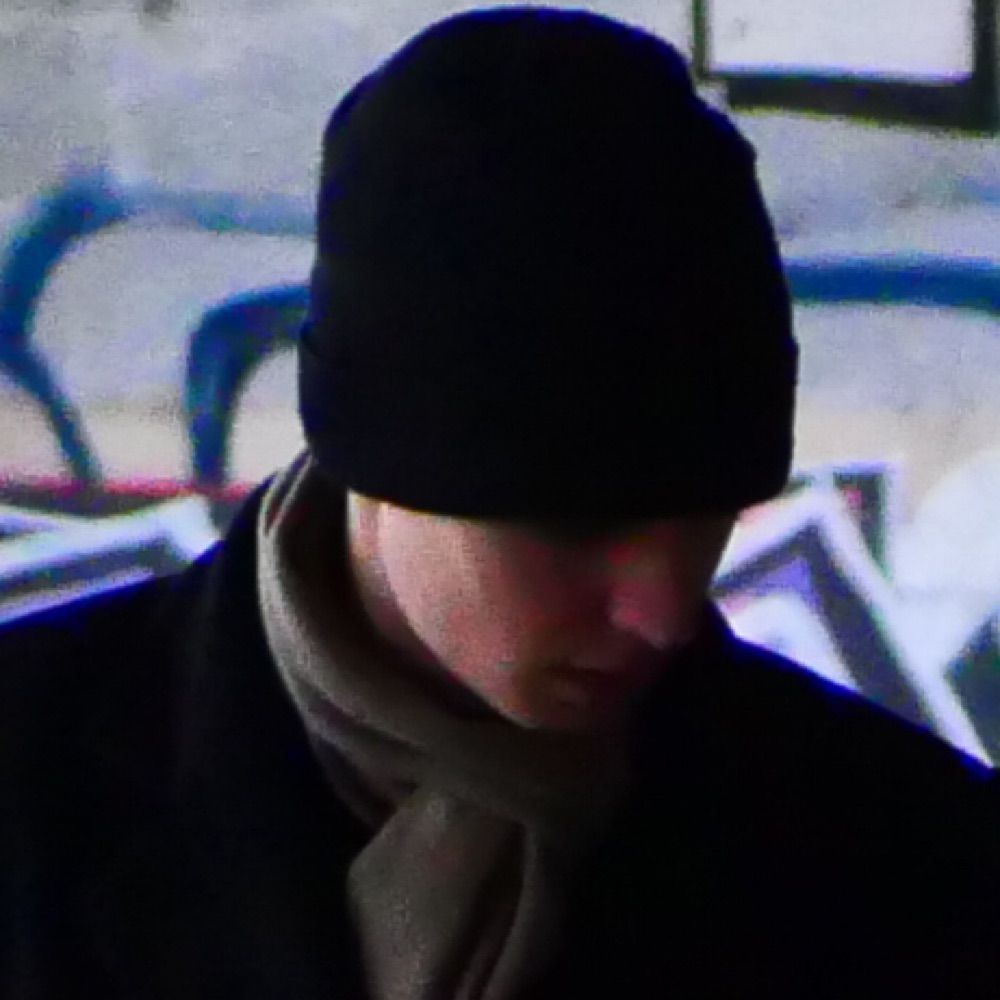 LongVân le troubadour