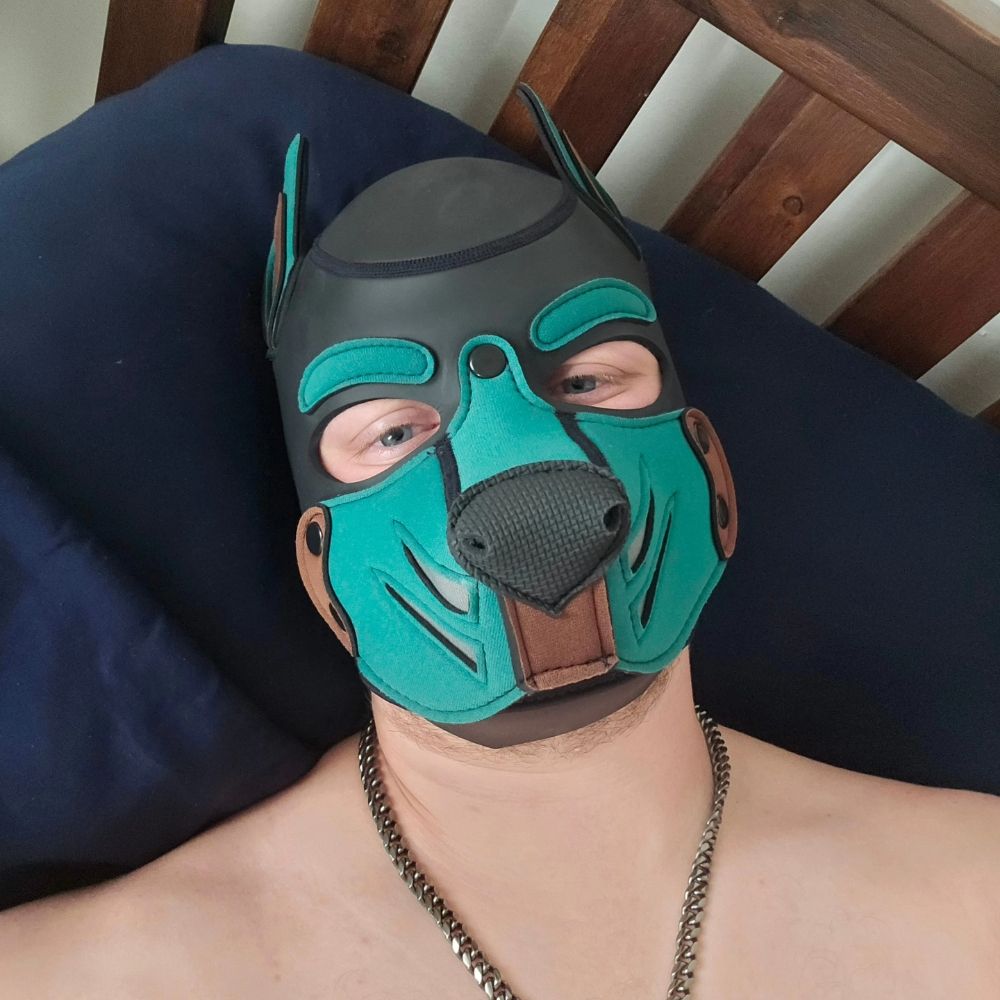 Pup Cage