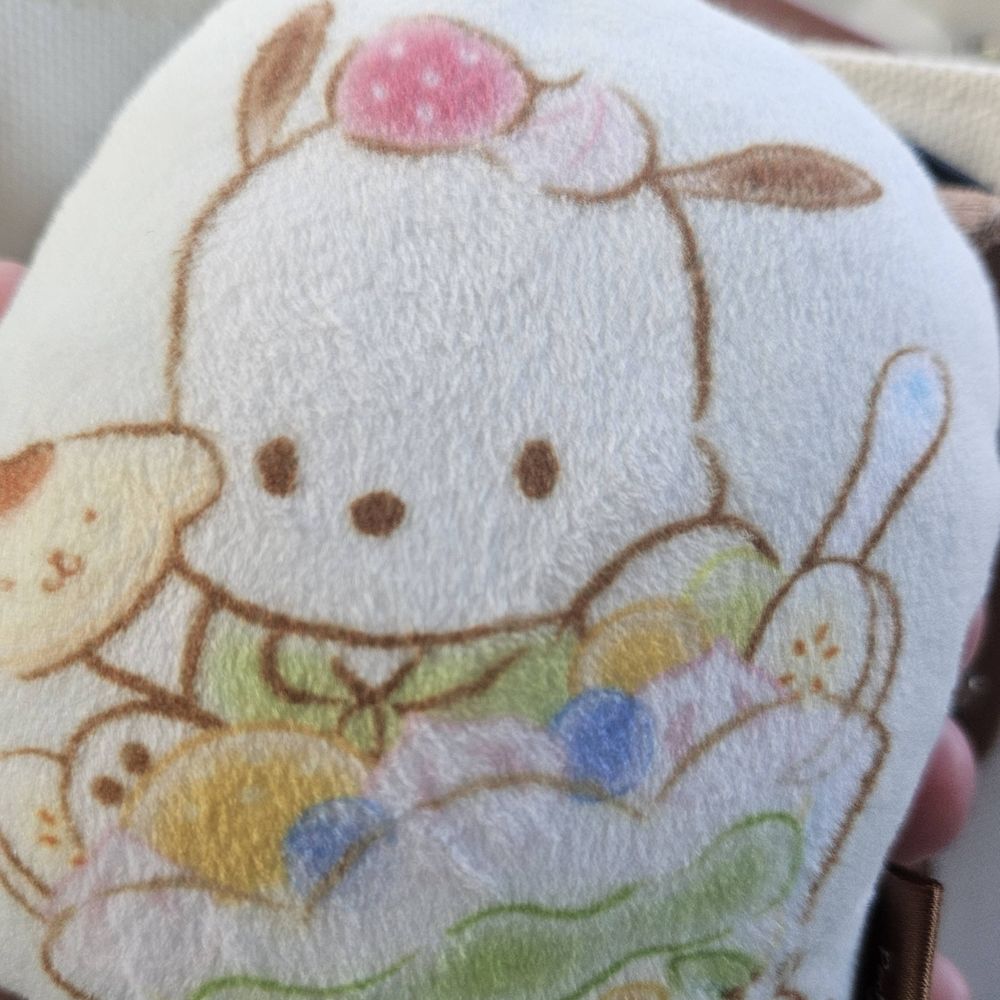 茅衿