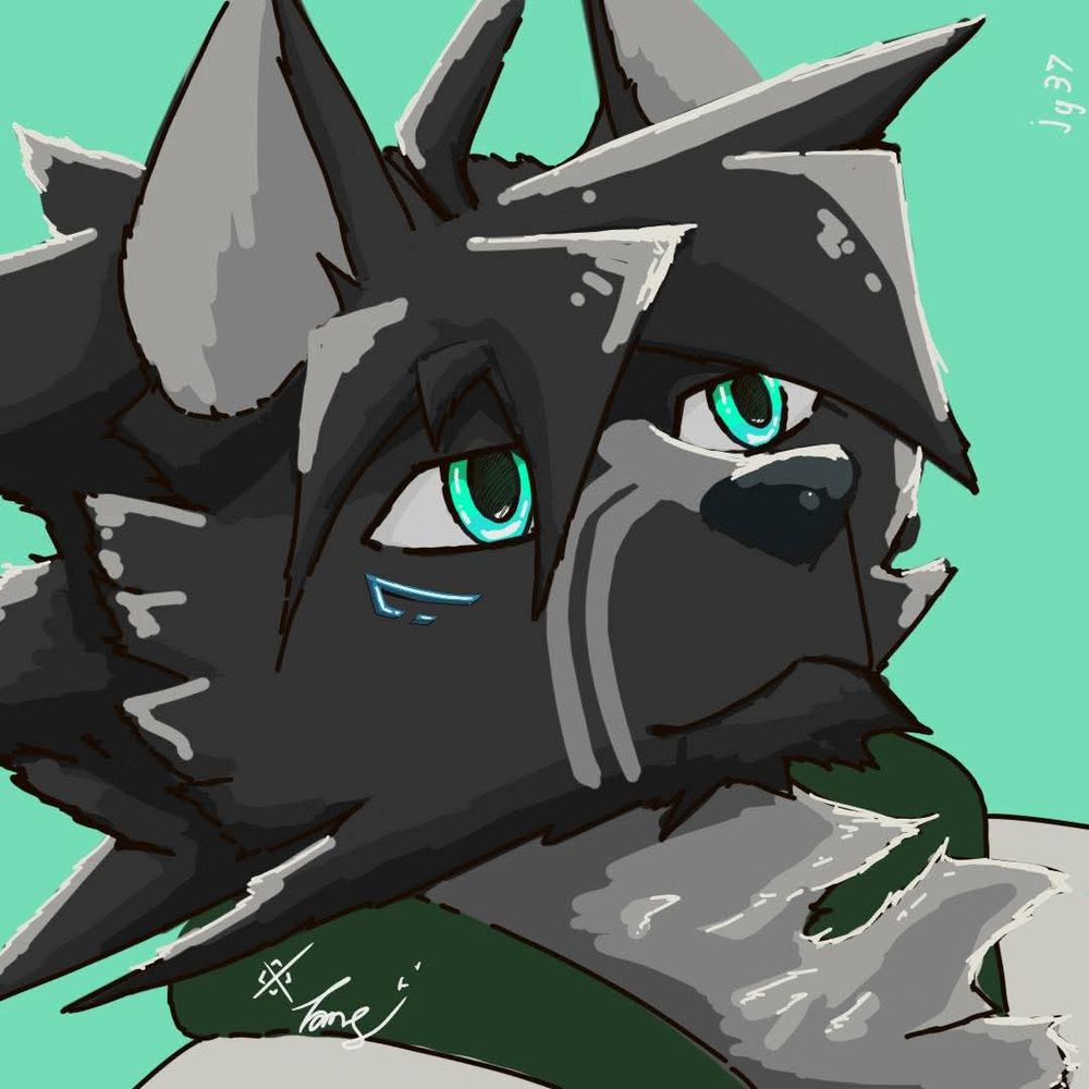 wolfjoecoffee
