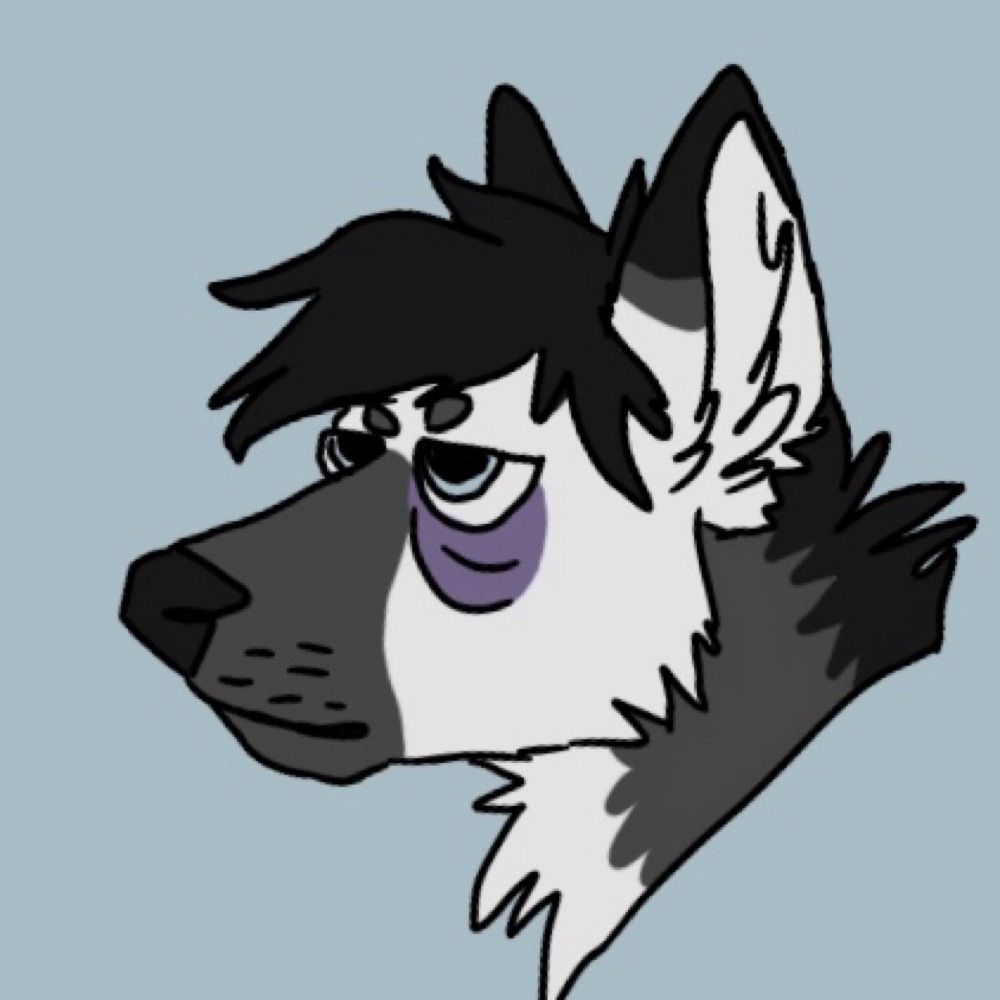 bexpup