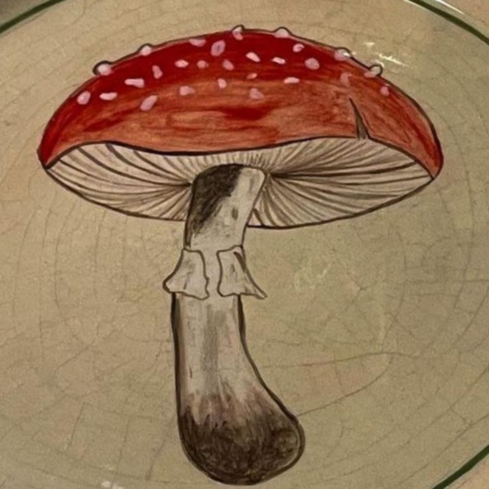 G14N 🍄