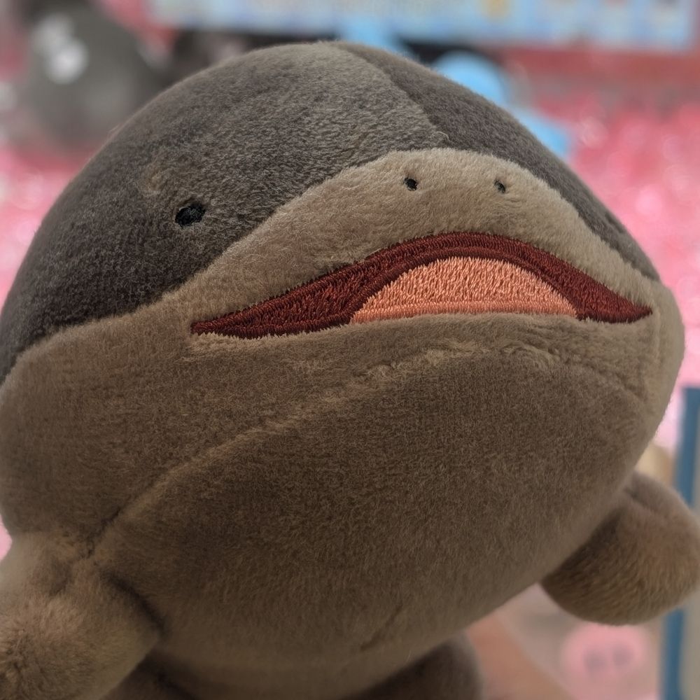 やん