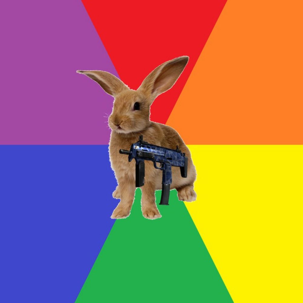 ZunLise 🎸🐇