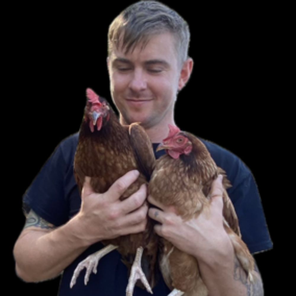 TeeDubyaDubya