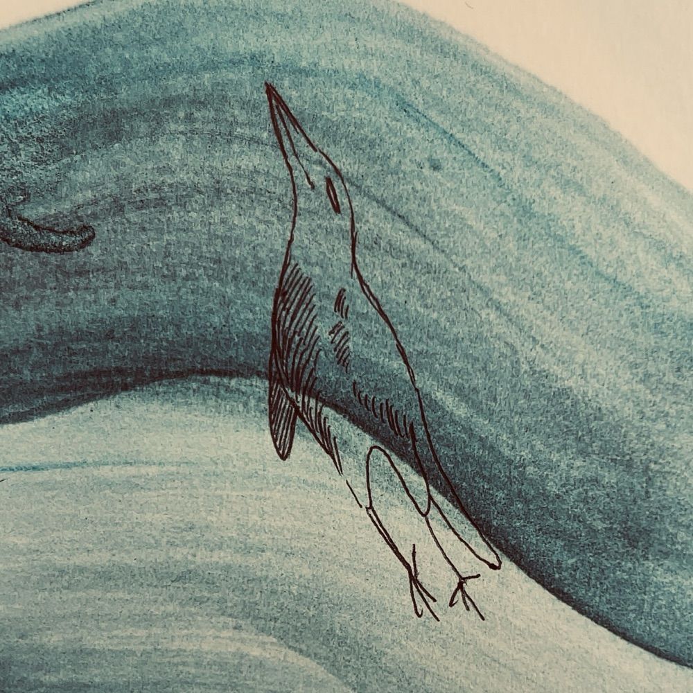 潮田
