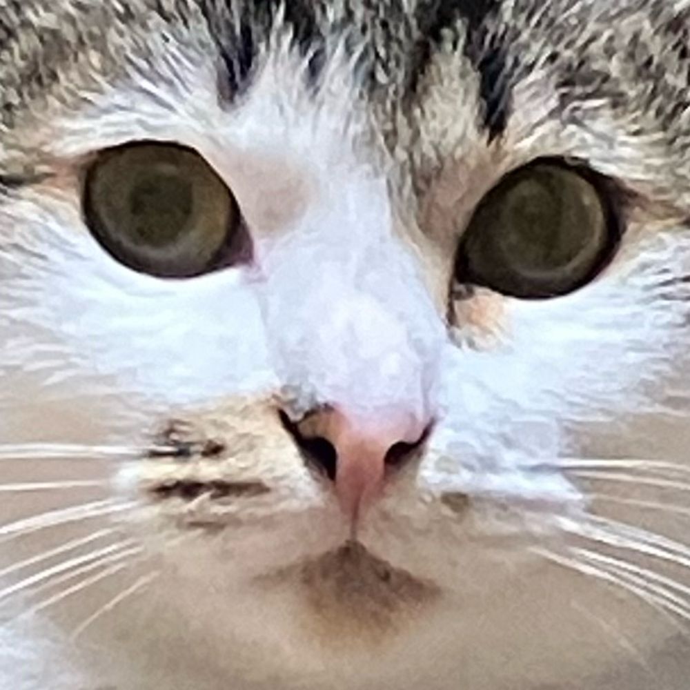sii