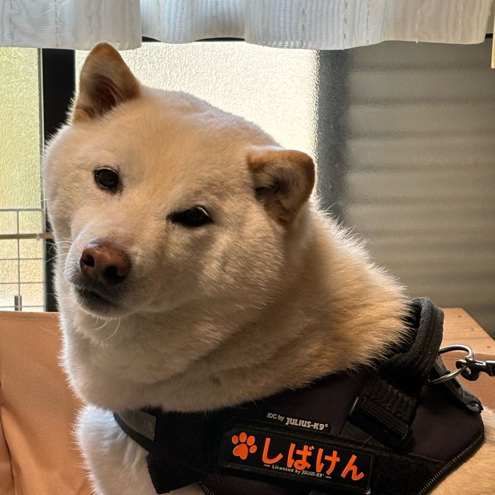 犬飼うせい